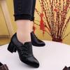 Autumn Women's Heeled Shoes New Retro Pointed Toe Chunky Heel Shoes for Women Pumps Outdoor Dress Office Ladies Shallow Shoes