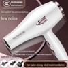 Dual-Voltage High-Power Hair Dryer with Blue Light for Quick Drying (Hot & Cold Settings)
