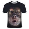 3D Fashion Funny Monkey Graphic T Shirts Summer Casual Animal Pattern Men's T-shirt New Hip Hop Print Short Sleeve T-shirts Tops