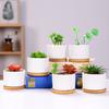 Ceramic Flowerpot Indoor Outdoor Mini Planter Pot Home Balcony Garden Decoration Cactus Succulents Plants Container