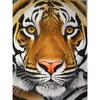 Алмазная картина Тигр Алмазная вышивка Крестом Круглая полная Алмазная мозаика Картина