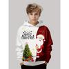New Hot Sale Kids' Christmas Hoodie: Santa Claus & Tree Long-Sleeve Top, Autumn/Winter Party Gift For Parties and Play
