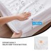 99.99% Waterproof Fitted Bed Sheet with Elastic Band Anti-slip Cover Mattress Protector for Single Double King Queen160 180 200