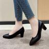 Fashion 2024 Spring Fall Stylish and Comfortable Mid-heel Pointed Toe Women's Single Shoes