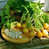 300 Yellow Round Radish Seeds - Garden Vegetables - Reproducible Peasant Seeds - Semi-Wild
