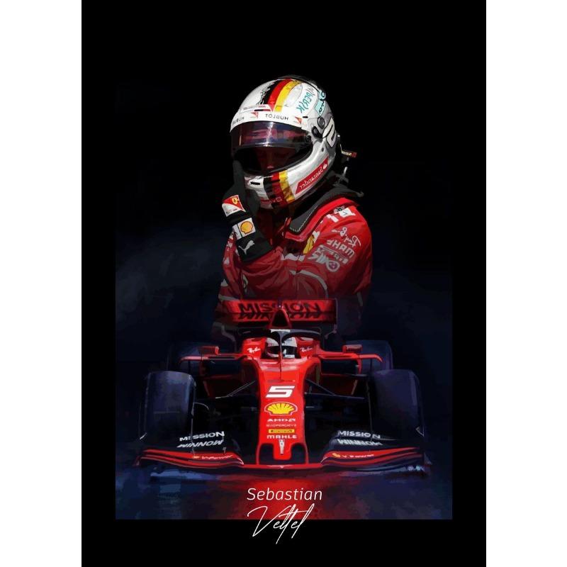 F1 Racer Collectible Series Poster Print Canvas Art Pictures Home for Living Room and Bedroom Wall Decor Frameless Painting