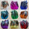 50Pcs 13-20cm Natural Cock Rooster Tail Feathers for DIY Clothes Decor