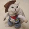 Cat Clothes Funny Cosplay Cowboy Costume For Small Medium Dogs Cats Puppy Outfits Novelty Kitten Dress Up Outfits Pet Supplies