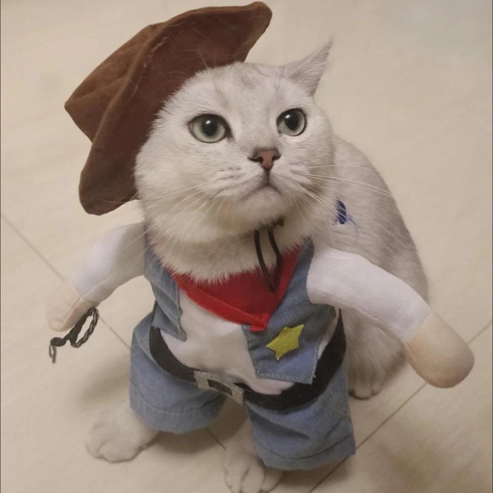 Cat Clothes Funny Cosplay Cowboy Costume For Small Medium Dogs Cats Puppy Outfits Novelty Kitten Dress Up Outfits Pet Supplies
