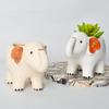 Cute Elephant Flower Pot Ceramic Succulent Pot Animal Planter Home Decor Desktop Ornaments Bonsai Plant Pot Garden Decoration