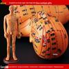 50CM Clear Meridian Human Body Model - Male & Female Traditional Chinese Medicine Acupuncture Points.