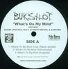 12inch Record BUKSHOT - What's On My Mind BUKSHOT Mobstyle Music, 2004 US Rap & Hip-Hop/R&B Used