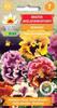 Big-flowered Pansy Rococo Flower Seeds for the Garden
