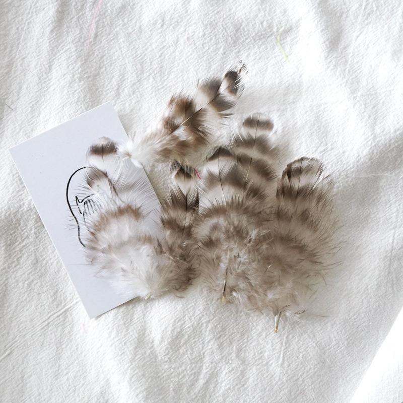 80 Natural Pheasant Feather Decorative Diy Jewelry Hair Accessories Material Cat Stick Toy Accessories
