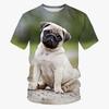 Funny Dog Pug T Shirts Animal 3D Print Men Woman Cool Short Sleeve T-Shirt Streetwear Oversized Harajuku Kids Tops Tees Clothing
