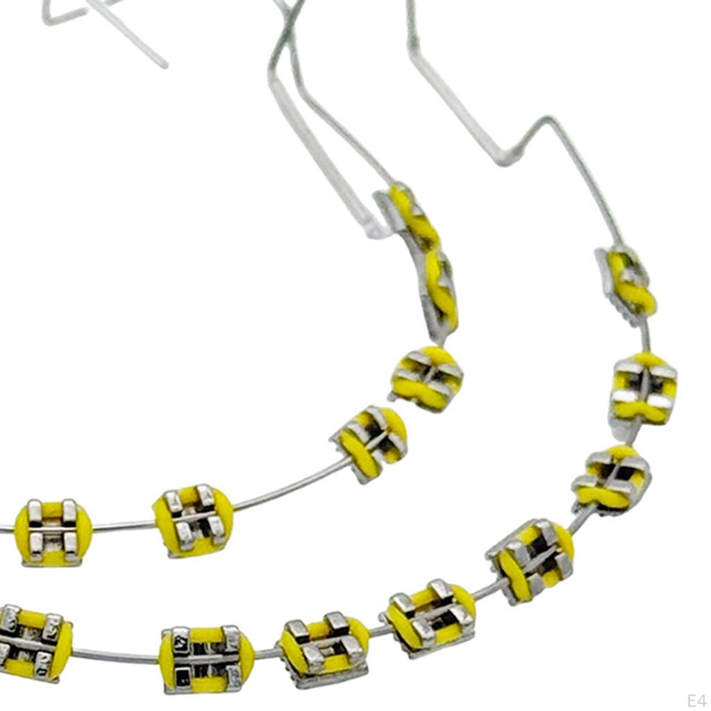 Temporary Tooth Decoration with Case for Classroom Instruction Fashion Brace