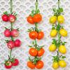 Decorative Ornaments Artificial Fruit Vegetable Fruit Pepper Fake Lemon Artificial Banana Restaurant Kitchen Garden Art Decoration