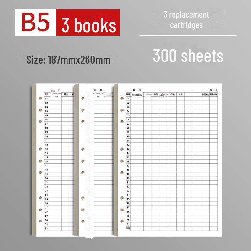 Ежедневный учет расходов B5. Книга учета с отрывными листами.