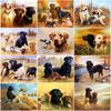 5d Diamond Embroidery Full Round Dog Mosaic Diamond Painting With Frame Animal Picture Home Decor