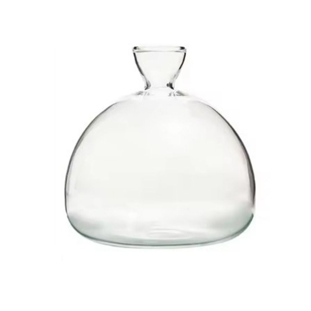 High-grade Japanese Hydroponic Vase Heat Resistant Special Vase Pot  Holidays Gift