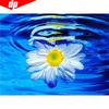 5D DIY Diamond Painting Scenic And Flower Full Round Embroidery Sale Rhinestone Picture