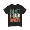 Retired Grandfather Shirt, I'm A Professional Grandpa Funny Quote T-shirt