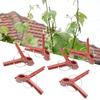 50Pcs/Set Grafting Clips Reusable Flexible ABS Grafting Clips Garden Plant Support Eggplants