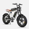 Engwe M20 Electric Bicycle 750W Motor, 2*48V 13Ah Battery, Dual Suspensions, 20*4.0 Inch Tires, 75KM Range E-Bike