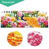 5D Diamond Painting Blossoming Peacock Flower Diamond Embroidery Crystal Needlework for Decoration