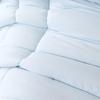 Mercury Home Textiles All-Season Antibacterial Duvet Insert