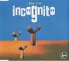 CD INCOGNITO - Givin' It Up TLKCD44 Talkin' Loud 1993 UK Dance & Electronica Used
