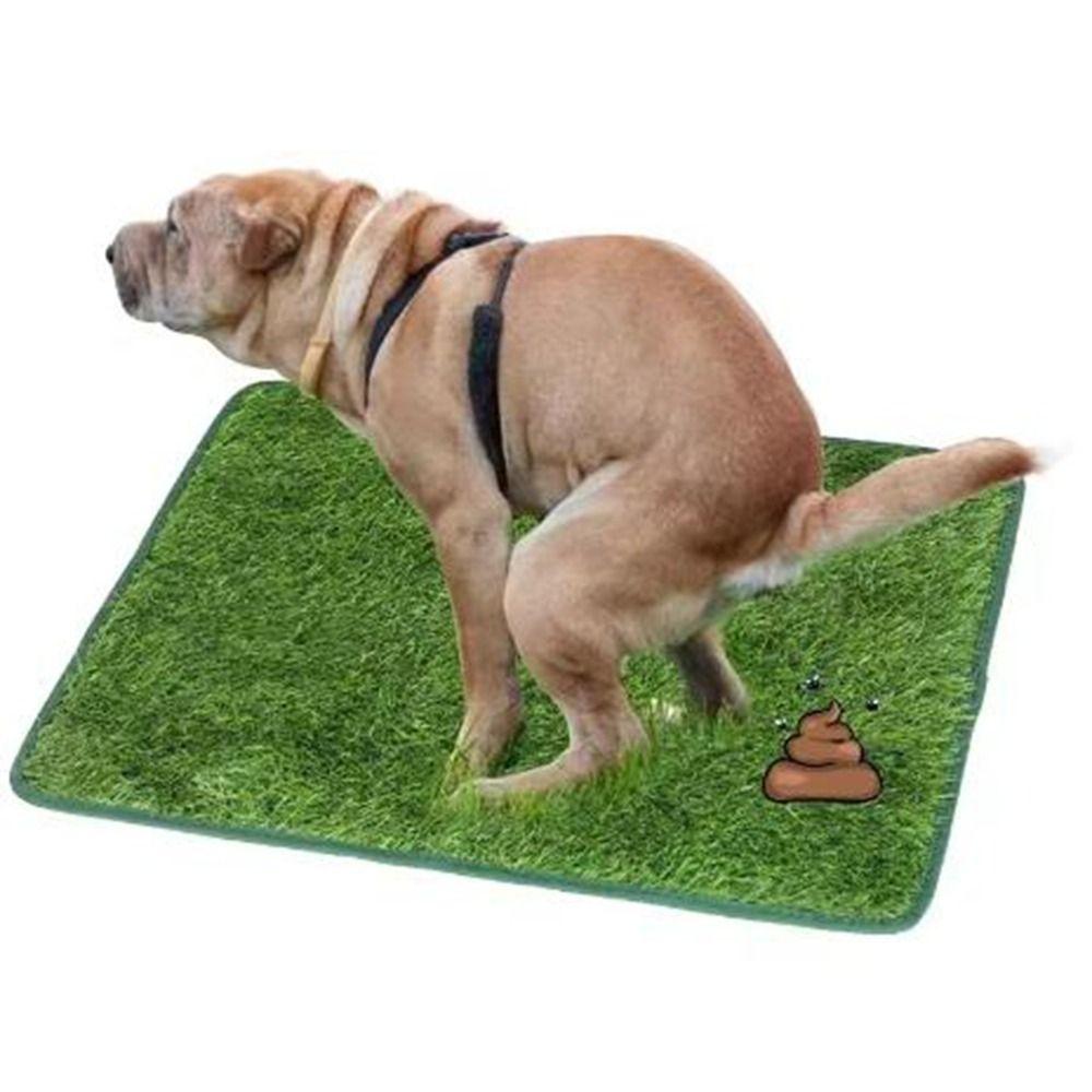 Washable Simulated Lawn Dog Pads Comfortable Pet Lawn Mat Artificial Dog Grass Mat Outdoor