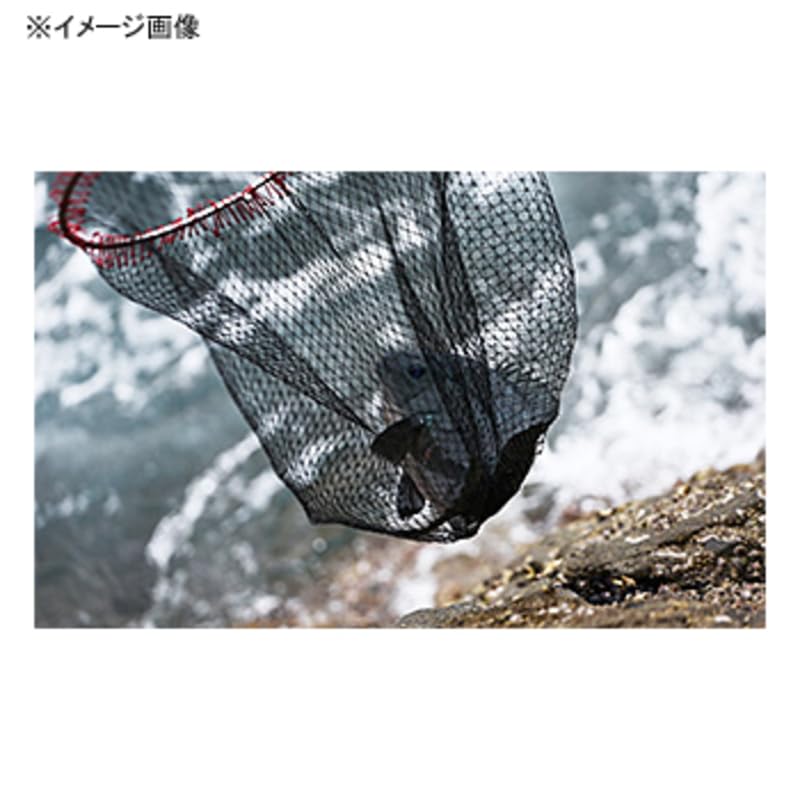 Daiwa Shallow Bottom Net 50 Black Iso-kaeri