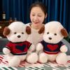 Cute Clothed Teddy Dog Doll Plush Toy Love Puppy Dog Doll Children's Companion Soothing Ragdoll Doll