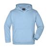 James and Nicholson Unisex Adult Moisture Wicking Hoodie