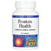 Prostate Health, Comprehensive Herbal Formula, 60 Softgels