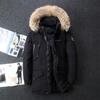 Autumn and Winter Down Jackets for Men, Mid To Long Styles, Men's Cotton Jackets, Thick Coats, Fur Collars, Cotton Jackets, Winter Clothes