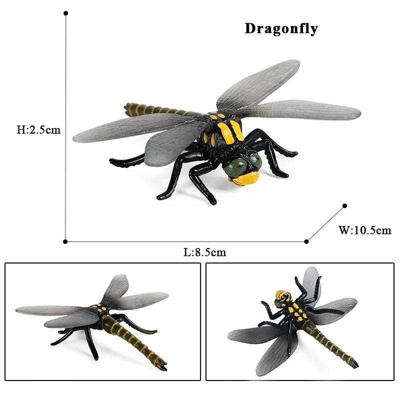 Oenux Simulation Dragonfly Grasshopper Centipede Wild Insect Animals Model Action Figures Miniature Education Collection Kid Toy