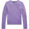 Polo Slim Fit Cable Knit Cotton Sweater Women Tops Spring-Violet WMPOSWENC021159-500