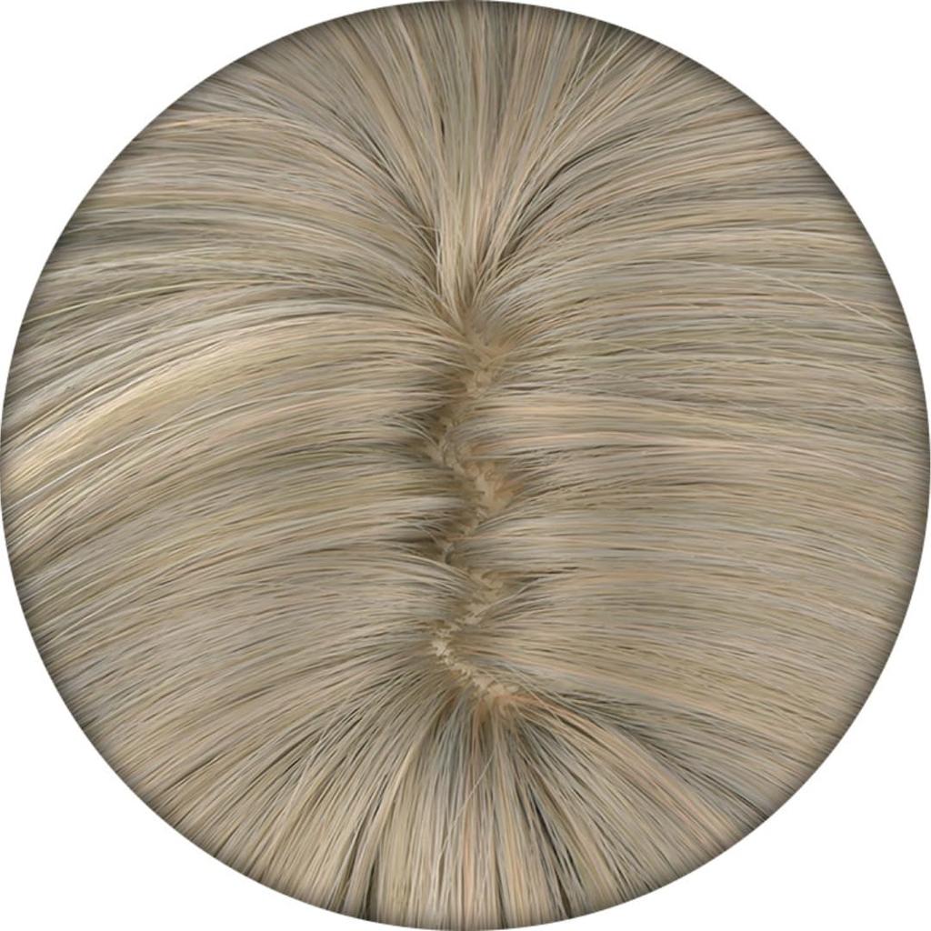 Akixen Seiya Wig from Koi To Anime Heat School Cultural Festival Miku, Cosplay, Hairnet, Fashion, Gift, Event, Halloween, Christmas, Resistant,