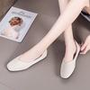 Pointed Toe Soft Sole Large Size Mother Single Shoes for Women Spring and Summer New Roman Style Slip On Fashion Women Shoes