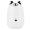 Facial Steamer Portable White Nano Thermal Spray Humidifier Skin Humidifier