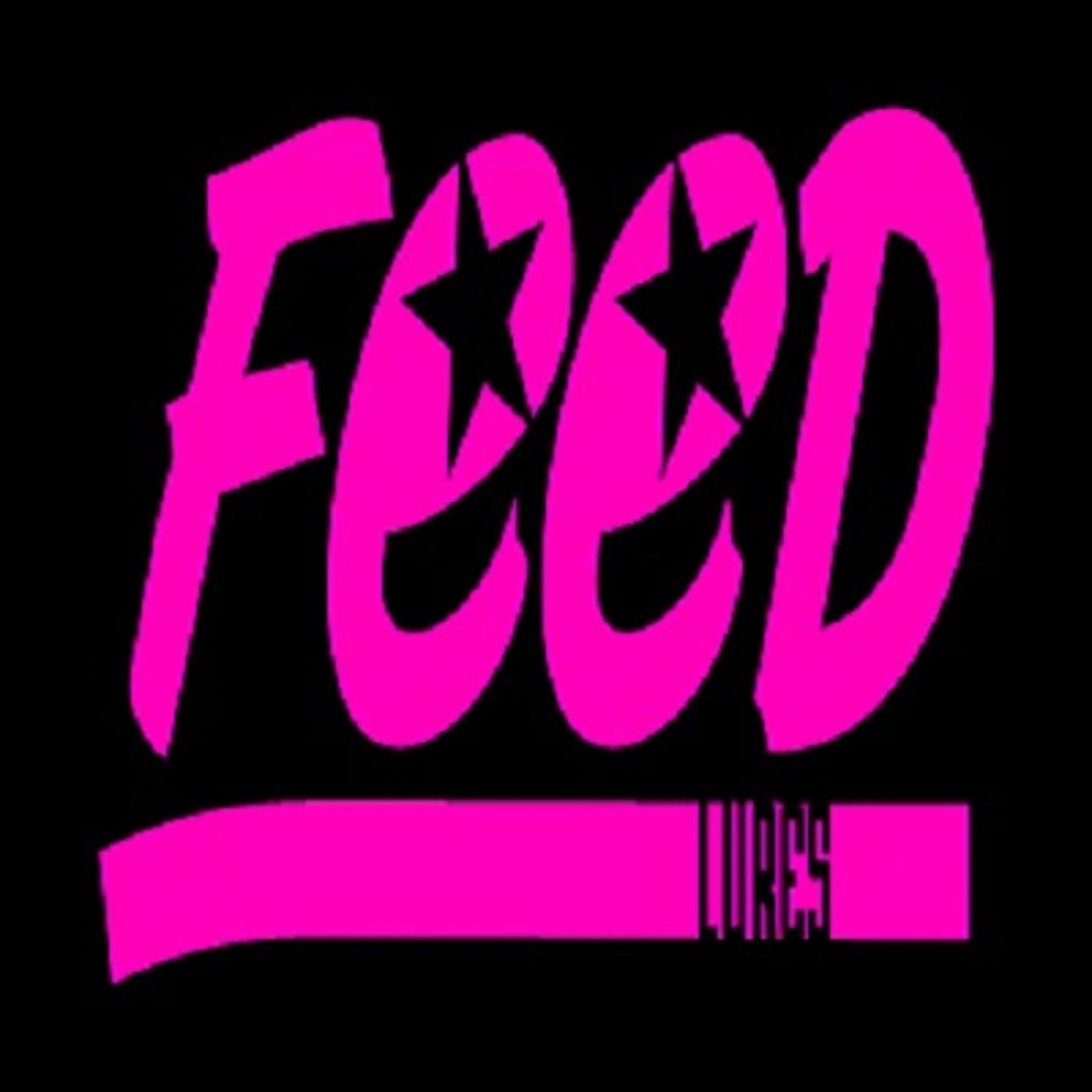 Feed Pin 40 Hand Made Wood Popper Floating Lure 40 Grams 24 (9024)