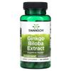 Ginkgo Biloba Extract, 60Mg, 120 Capsules