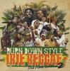 Mix CD BURN DOWN - Irie Reggae Dub Plate Edition 2 BDRCD040 BURN DOWN Japan Obi Reggae, Ska & Dub Used