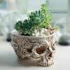 Resin Flower Pots Skull Succulents Planters Cactus Flower Pot Decorative Planters for Plants Home Desktop Decorative