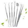 Stainless Steel Dentist Oral Tools Cleaning Flossing Tartar Removal Easy To Clean Not Easy To Break Dental Oral Mirror Care Kit