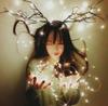 Holiday Decor Christmas New Year Garland Lamp LED Decorative Light Outdoor String Lights Fairy