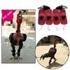 4pcs Rooster Cocks Mitt Para Gallos Hen Helmet Fighting Protection Farm Animals Chicken Coop Supplies Accessories