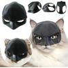 Bat- Cat - Maskbat Cat Mask Cat